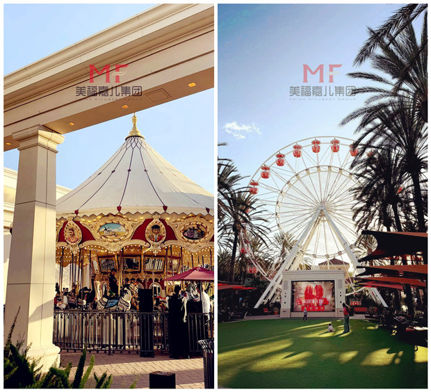 赴美生子|外出闲逛,邂逅美好